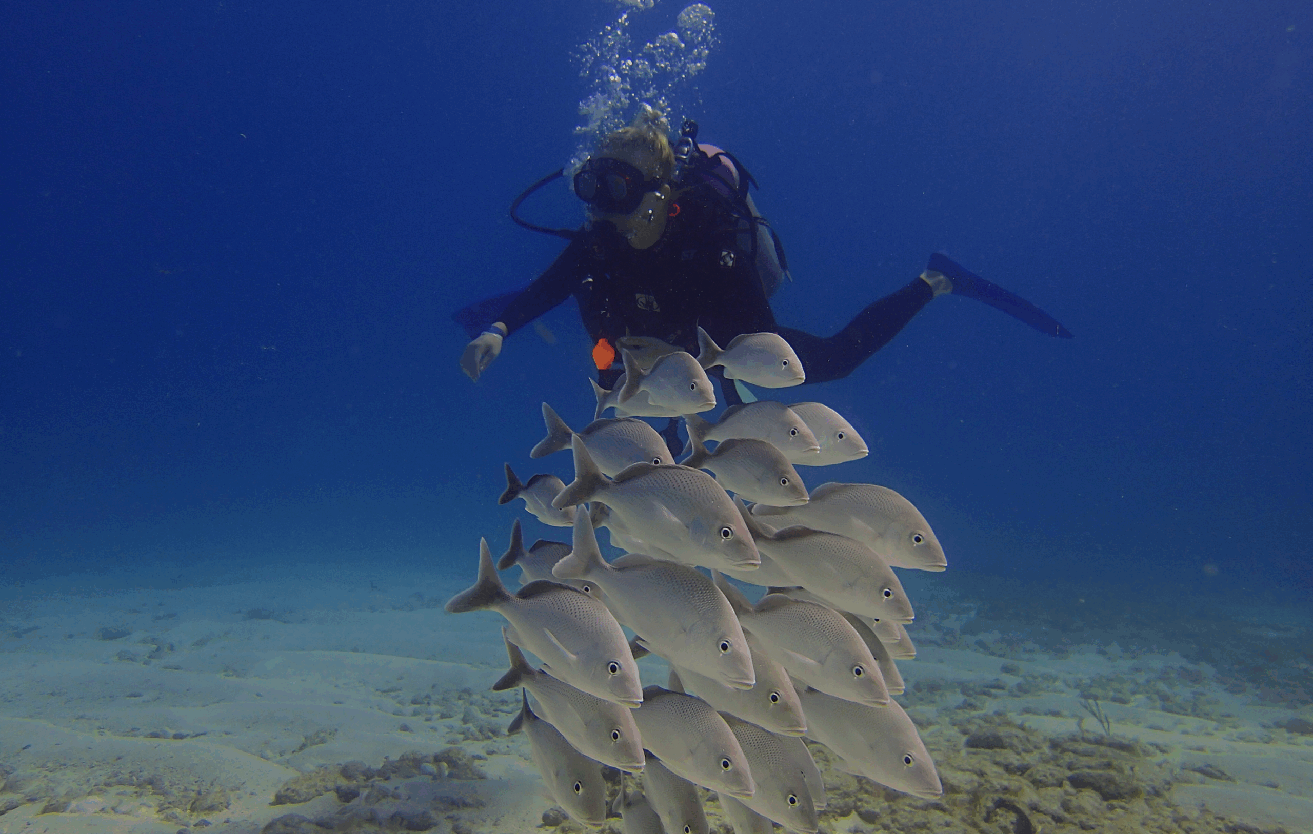 discover_scuba_photo1